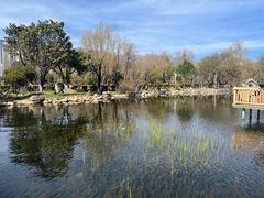 -洱海月湿地公园