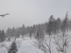 -大秃顶子山