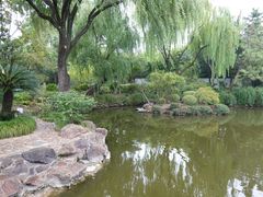 -秋霞圃