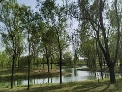 -东郊湿地公园