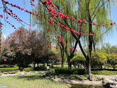 -木塔寺遗址生态公园