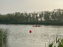 -大兴滨河森林公园