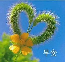 -HEYAN荷妍专业脱毛连锁机构