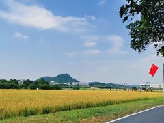 -光明小镇欢乐田园