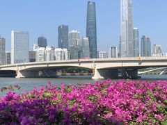 -珠江夜游广州塔·中大码头