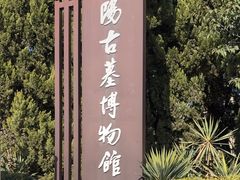 -洛阳古墓博物馆