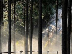 -玉苍山国家森林公园