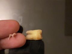 -泰康拜博口腔(松江印象城臻尔店)