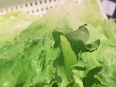 -新石器烤肉(招商1872店)