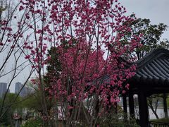 -凤城河风景区