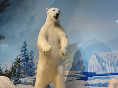 -陕西自然博物馆