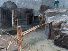 -鄂尔多斯野生动物园