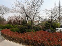 -兰溪青年公园