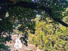 -海南热带雨林国家公园吊罗山景区