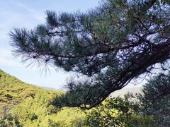-香山公园