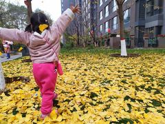 -伊顿幼儿园(天津上河雅颂校区)