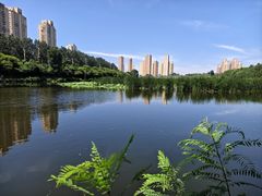 -前关湿地公园