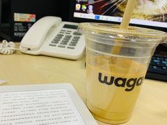 -Wagas沃歌斯(北京君太百货店)