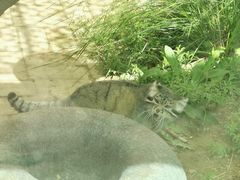 -青藏高原野生动物园
