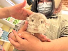 -龙猫仔乐园(惠福东路店)