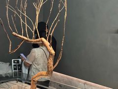 -喜茶(深圳万象城黑金店)