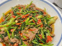 香菜炒牛肉-壹盏灯(蚂蚁工房店)