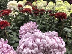 -汇龙潭