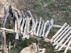 -泉州海丝野生动物世界