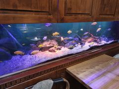 水产区-Golden Lily河内巴黎法越料理餐厅(建国西路店)