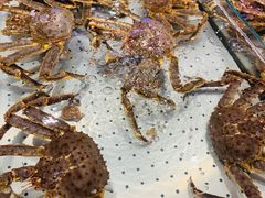 -浩运海鲜·16年专注青岛菜(石老人店)