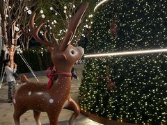 -深圳湾万象城(南山店)