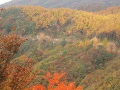 -秦岭风景区