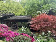 -中国茶叶博物馆(双峰馆区)