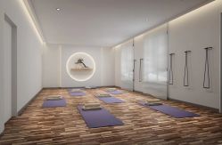 -酉嘉瑜伽YO+YOGA