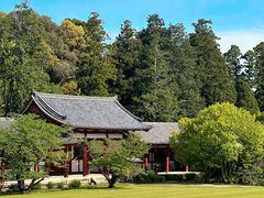 -奈良公园