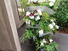 -星巴克臻选(深圳万象天地旗舰店)