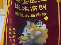 -嘉馨宠物医院·CT影像转诊·心脏科·犬猫全科诊疗中心(下沙大学城院区)