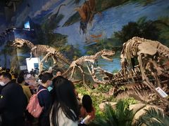 -自贡恐龙博物馆