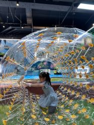 -卡通尼·Safari非洲探索乐园·生日会(金桥国际商业广场店)