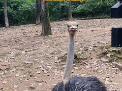 -杭州野生动物世界
