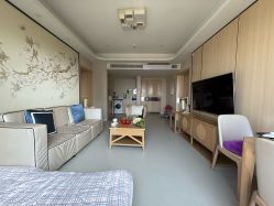 -广州安和泰医学月子会所