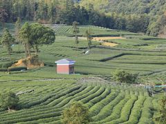 -听风阁农家私房菜茶楼(龙坞店)