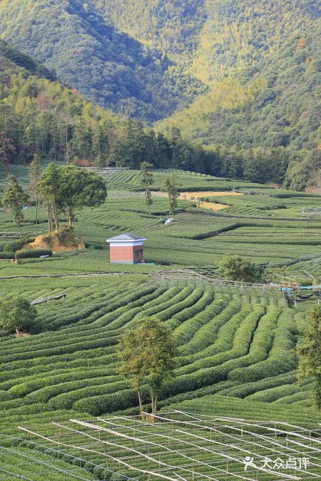听风阁农家私房菜茶楼(龙坞店)图片