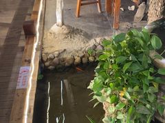 -三道苗苗鱼·美蛙黄辣丁(八里店)
