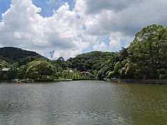 -广州市帽峰山景区