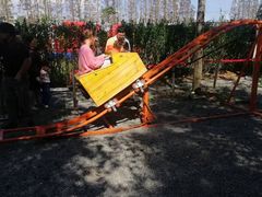 -前小桔亲子创意农场·草莓采摘·露营烧烤