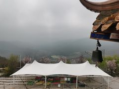 -铜川市金锁关石林