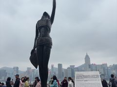 -星光大道
