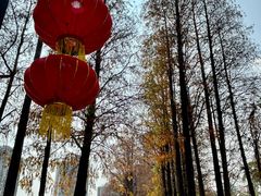 -四海公园(南山区)
