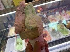 -柠檬车露(卖草地店)